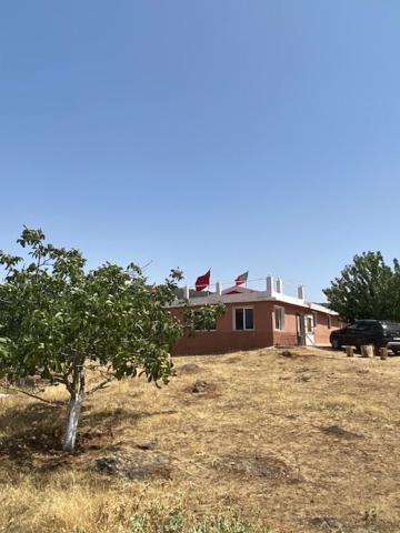 Gite Cedre Gouraud Hotel Азру Екстериор снимка